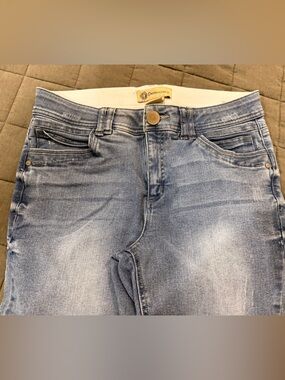Democracy Light Wash Skinny Jeans in Faded Blue